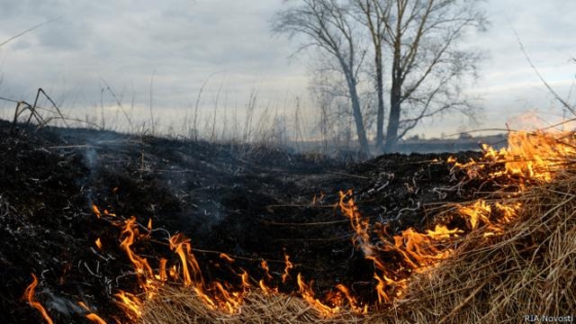 Пожежі через обстріл у Миколаївській області: збитки екології оцінили у 2,3 мільйона