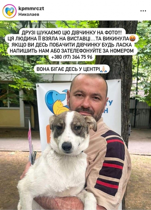 У Миколаєві городянин забрав бездомну собаку з виставки, а потім викинув її