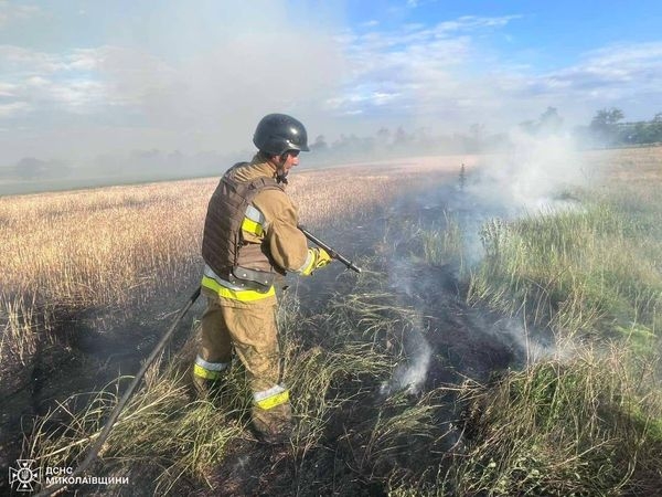 В Николаевской области загорелось поле ячменя