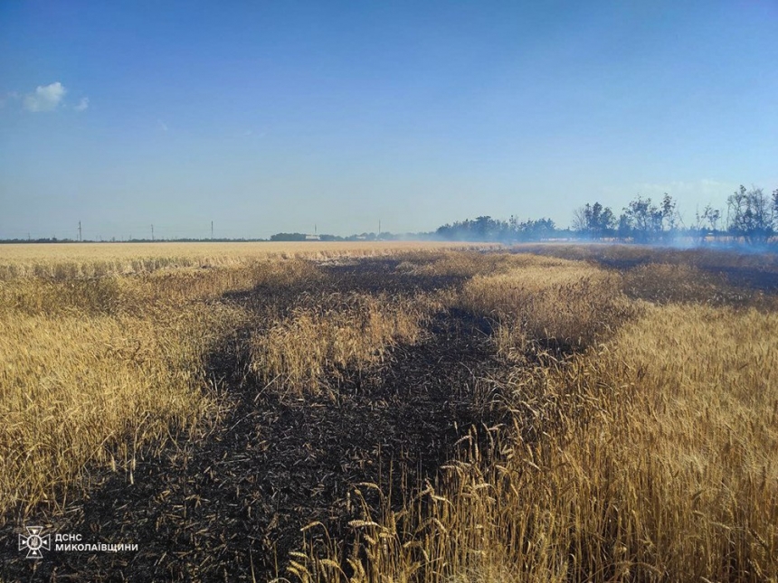 В Николаевской области за сутки выгорело 13 га пшеницы, почти 3 га ячменя и 2 га леса