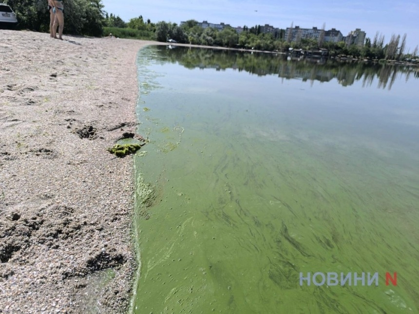 У Миколаєві досліджували воду у водоймах: результати
