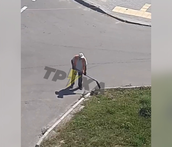 Имитация уборки в Николаеве: подрядчики убрали газон, рабочего уволили (видео)