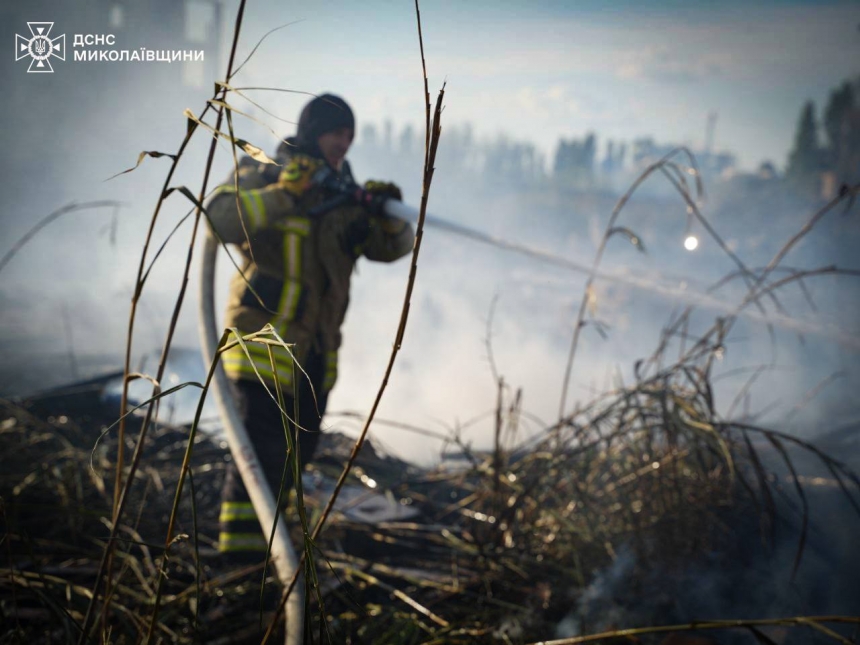 В Коблево из-за горящей травы огонь едва не уничтожил базу отдыха (фото)