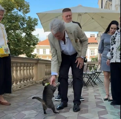 На бывшего президента Ющенко напал кот львовского головы (видео)