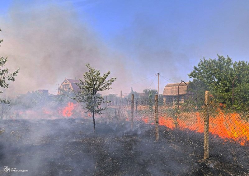  Под Николаевом снова масштабный пожар — огонь подступает к дачным домам (фото)