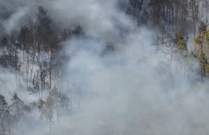 У ДСНС показали на відео, як гасили Балабанівський ліс під Миколаєвом