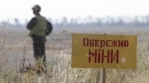 Мешканець Миколаївської області підірвався на міні