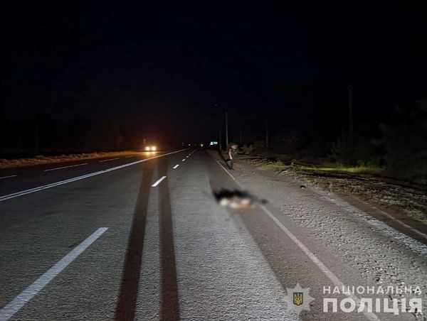 В Запорожской области водитель насмерть сбил военного и скрылся (фото)
