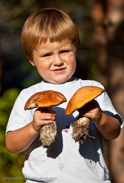 На Николаевщине 13-летний мальчик отравился грибами