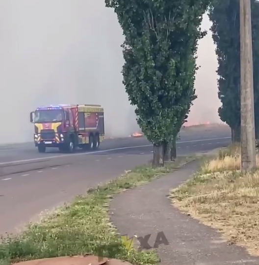 У Миколаєві горить поле із сухою травою біля цвинтаря (відео)