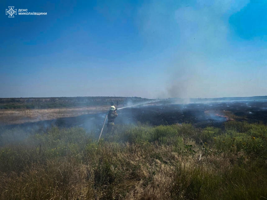 Враг атаковал Николаевщину ракетой и FPV-дронами: горели трава, кустарники и хозпостройки