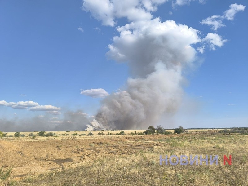Под Николаевом масштабный пожар: огромный столб дыма поднимается на 100 метров в воздух (видео)