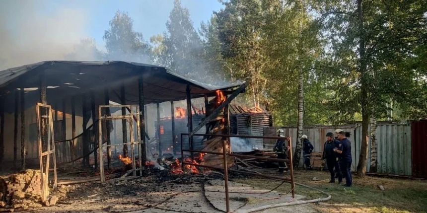 Внаслідок ранкових ударів росіян по передмісті Харкова пропав безвісти кенгуру