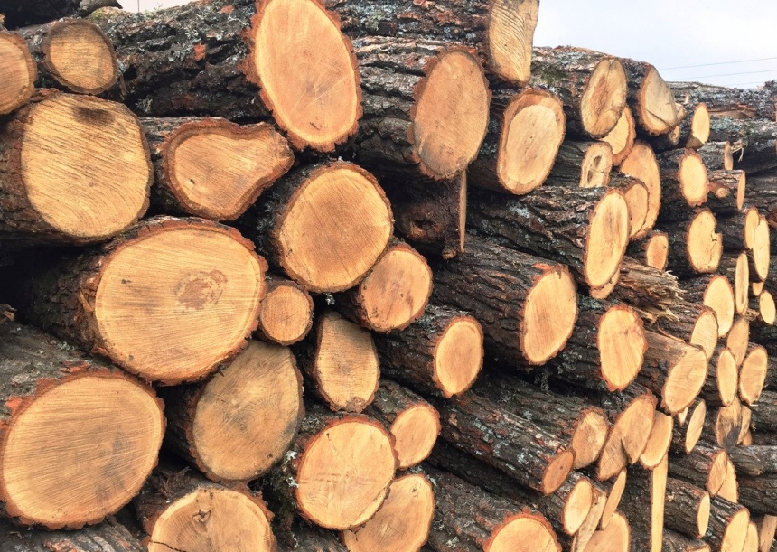 В Николаевской области дрова можно будет заказывать через электронную систему, - Ким