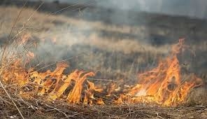 Завтра в Николаеве будет чрезвычайная пожароопасность