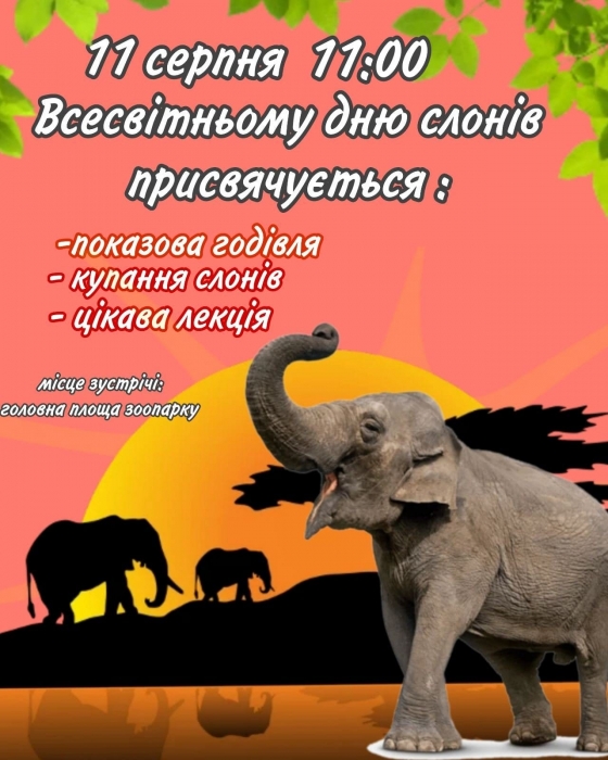 Завтра у Миколаєві проведуть показове купання слонів