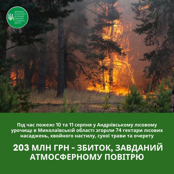 Названа сумма ущерба от масштабного лесного пожара в Николаевской области