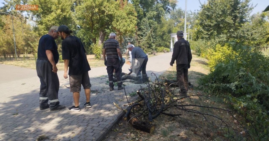 В Кривом Роге коммунальщик умер от укусов шершней