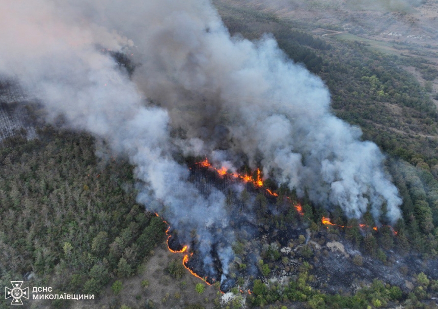 З початку року в Миколаївській області 12 разів горіли ліси