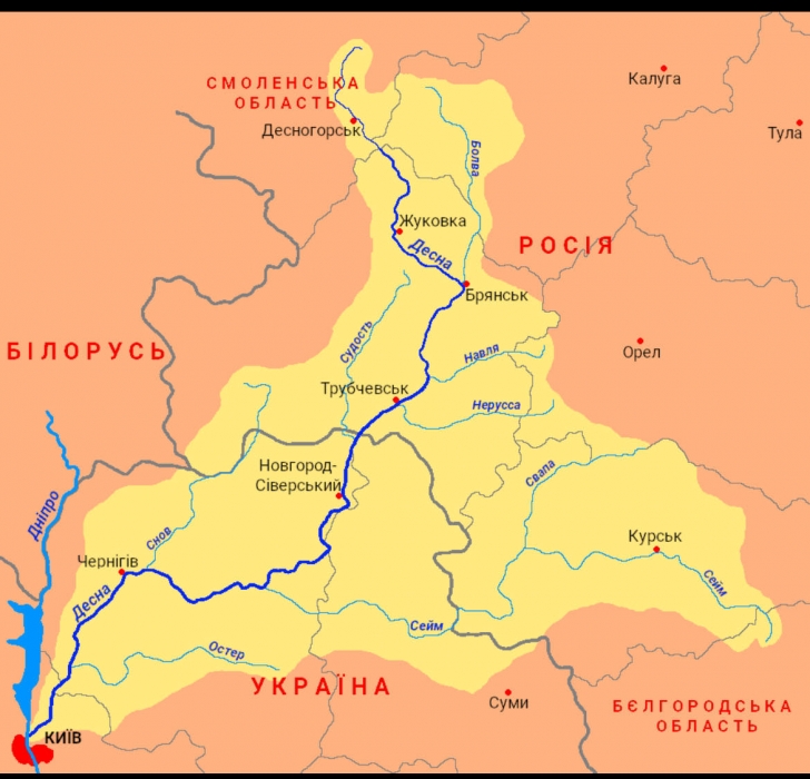 Під Києвом у Десні виявили отруйні речовини: категорично заборонено купання та риболовлю