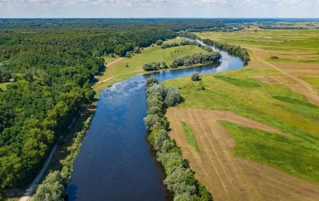 Госэкоинспекция не обнаружила ядовитых веществ в Десне под Киевом