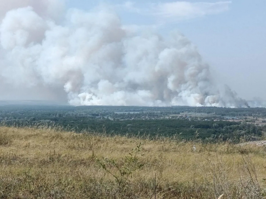 В Донецкой области горят 50 гектаров леса