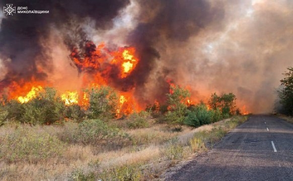 На Николаевщине потушили пожар леса, который горел со вчерашнего дня