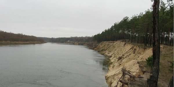 Загрязнения рек: вода в Десне возле Чернигова потемнела, фиксируется замор рыбы