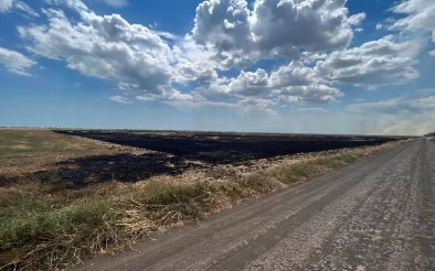 Жителя села в Николаевской области вывезли в поле и подожгли — мужчина в реанимации