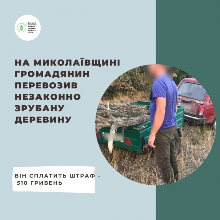 Під Миколаєвом упіймали чергового дроворуба: впаяли штраф