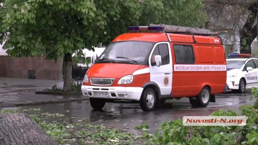 Деревопад у Миколаєві продовжиться: очікується посилення вітру