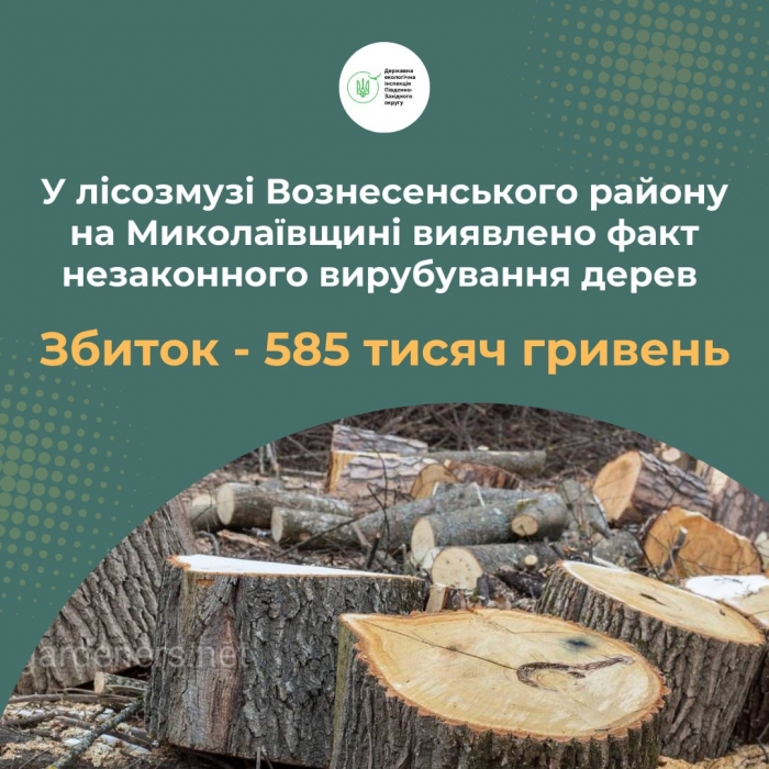 В лесах Вознесенского района браконьеры нарубили деревьев на полмиллиона