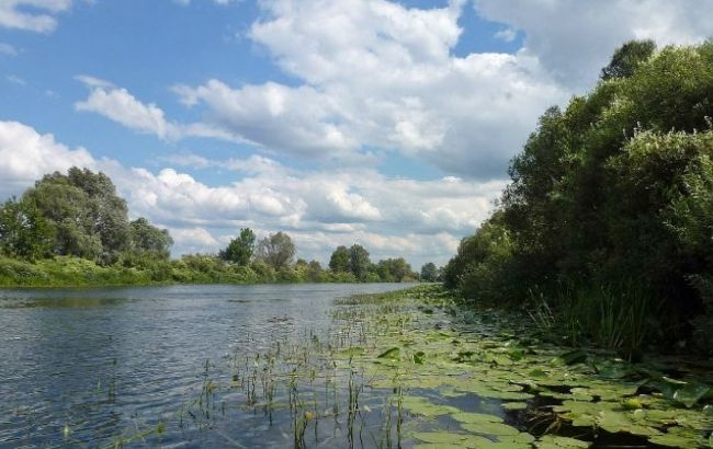 По руслу річки Сейм рухається повторне забруднення, - Міністерство захисту навколишнього середовища