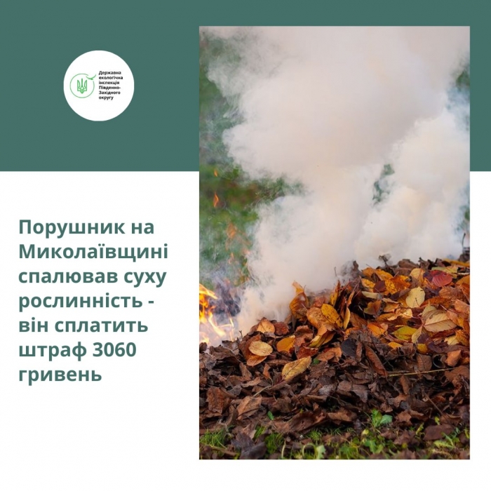 В Николаевской области житель решил сжечь листья – и «попал» на три тысячи гривен