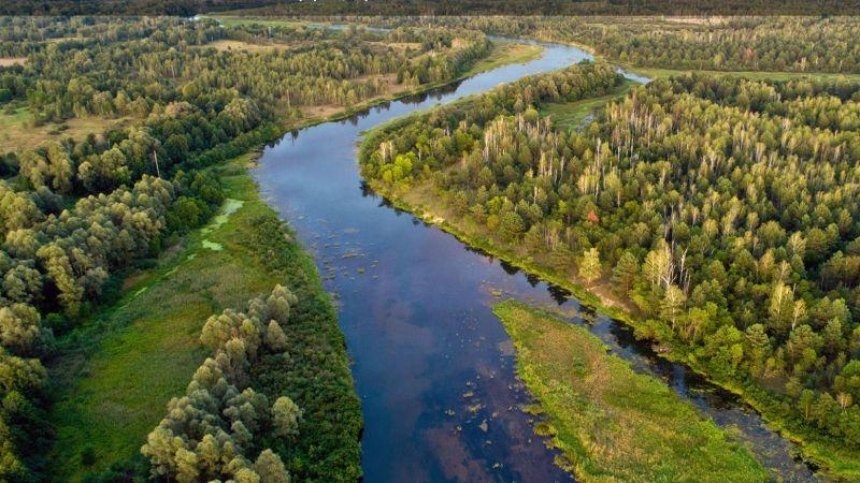 Фото ілюстраційне, з відкритих джерел