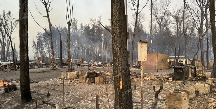 На Харківщині повністю згоріло село через лісову пожежу