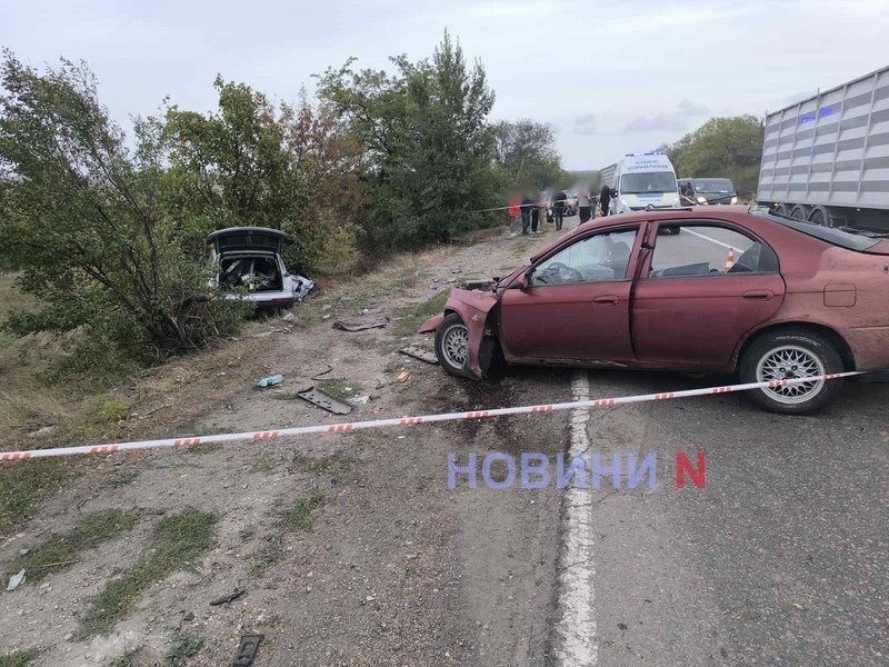 Смертельное ДТП под Николаевом: спасатели деблокировали погибшего и пострадавшего