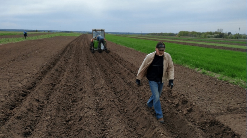 В Україні змінилися ціни на землю: найдешевша — у Миколаївській області