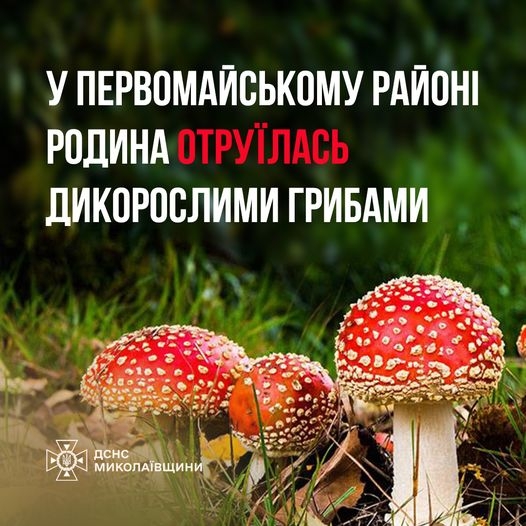 У Миколаївській області сім'я отруїлася грибами — троє людей у ​​тяжкому стані