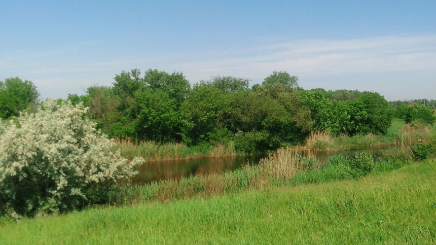 Фото іллюстраційне 