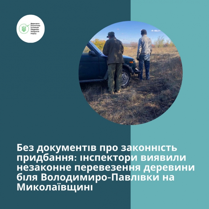 На Миколаївщині мешканець перевозив деревину без документів: його оштрафували