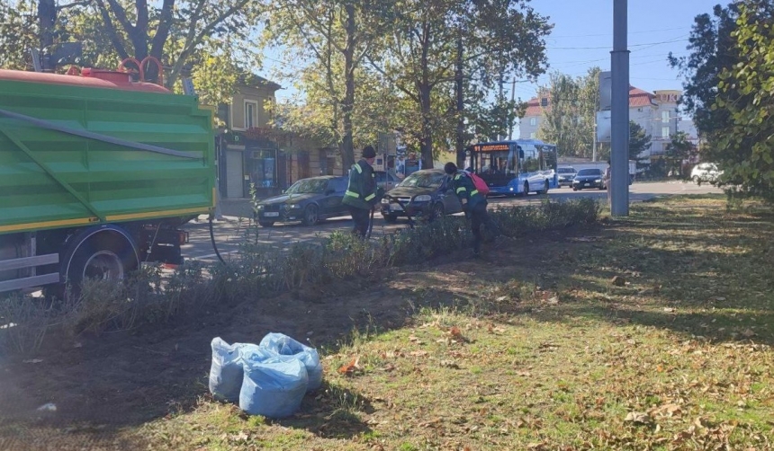 В Николаеве начали высадку кустов