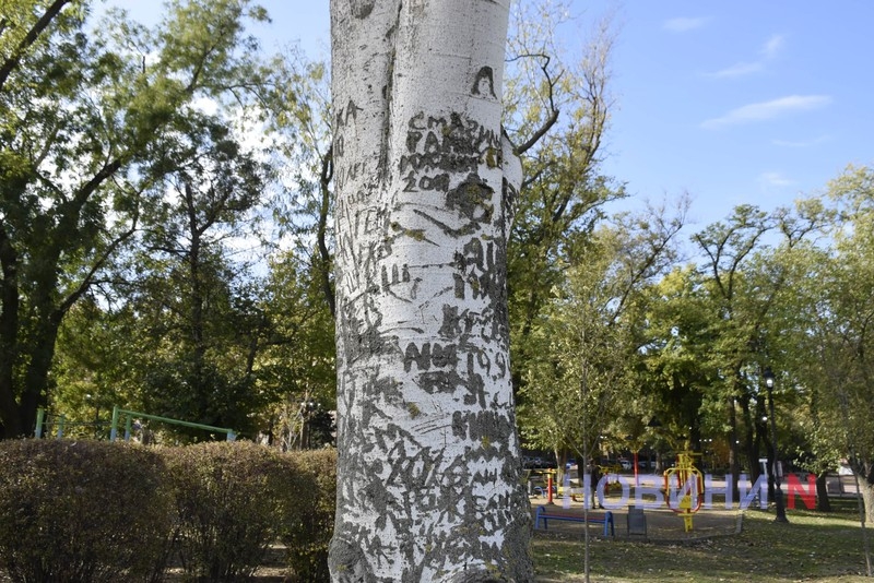 Улюблені місця миколаївців: як виглядає Флотський бульвар (фоторепортаж)