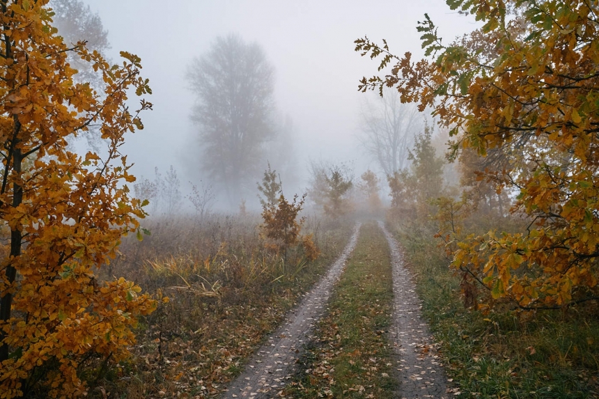 Фото ілюстраційне, з відкритих джерел