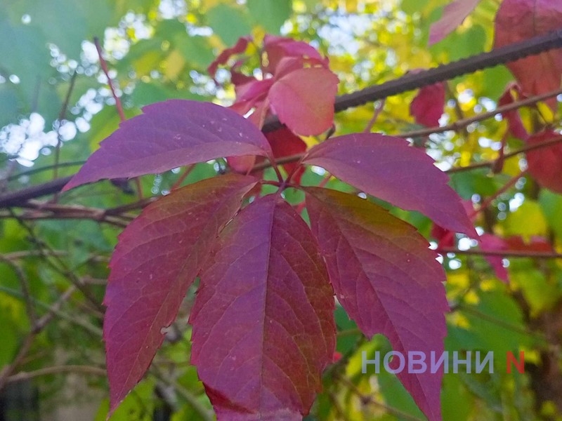 Коли в Україні вже очікуються морози та сніг