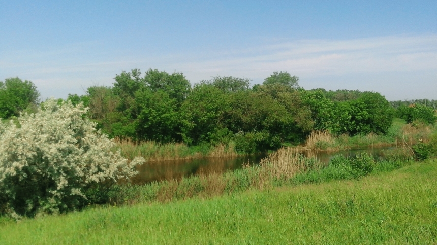 На Миколаївщині землі заповідника, роздані в приватні руки, повернули державі