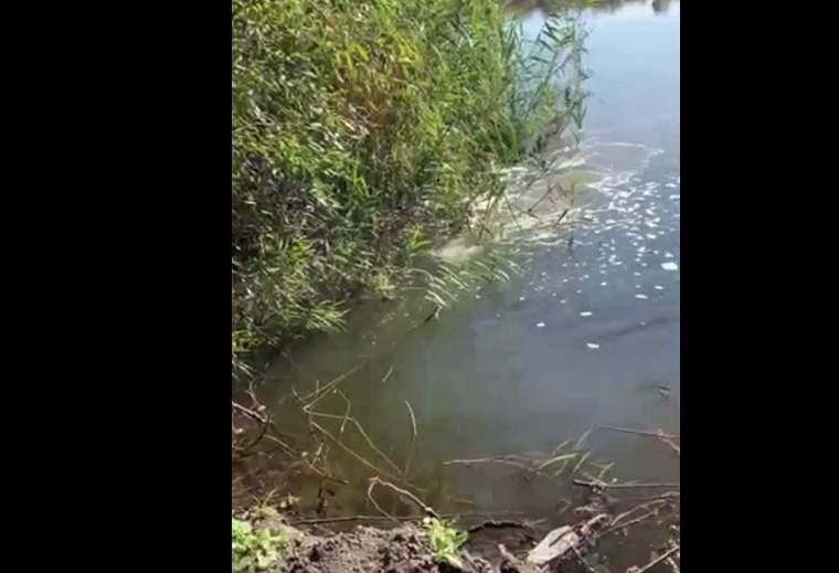 В Первомайске водоканал сбрасывал канализацию в реку Южный Буг (видео)