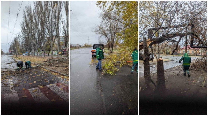 В Николаеве сильный ветер валит деревья: в горсовете рассказали, что делать