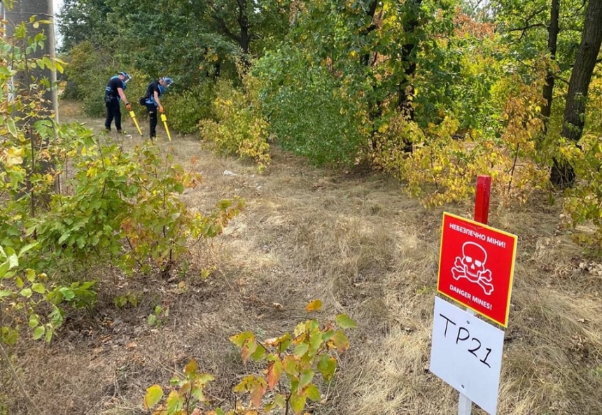 В парке «Дубки» в Николаеве обнаружили 17 опасных суббоеприпасов от РСЗО