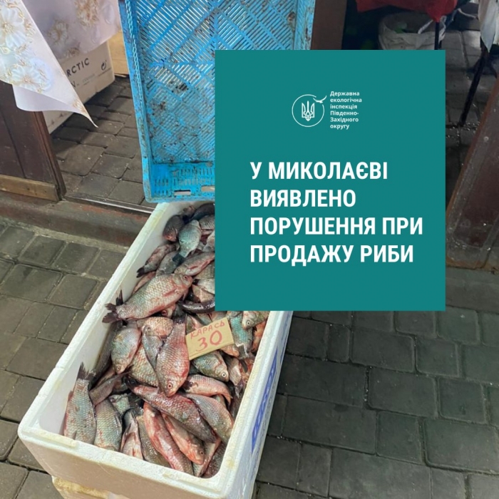 У Миколаєві на ринку продавали рибу незрозумілого походження: розбиратиметься суд